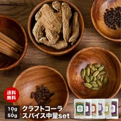クラフトコーラ 中量スパイスセット 【送料無料 レシピ付】チャック付袋入り 梅シロップ レモネード 作りにも！