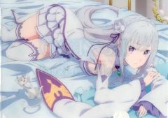 [중고] 클리어 파일 에밀리아 & 팩 A4 오리지널 클리어 파일 [Re:제로부터 시작하는 이세계 생활 빙결의 인연 콤보 세트] EJ 애니메이션 극장 한정 구입 특전