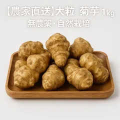 菊芋 1kg｜無農薬・自然栽培｜農家直送・土付き発送