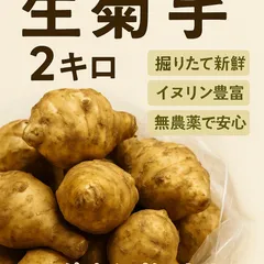 【農家直送】無農薬・自然栽培 菊芋 2キロ｜新鮮・土付き発送