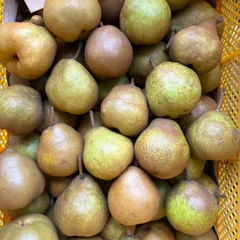 2025年最新】ラ・フランスの人気アイテム - メルカリ