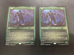 MTG 花を手入れする者 Bloom Tender 4枚 - メルカリ