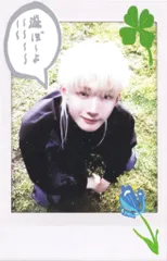 &TEAM Photocard Box JO Back to Life KR 1st Mini Album チェキ