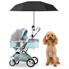 Item thumbnail for item 06b4ebe5-828e-48d2-b0ec-e127511c423c