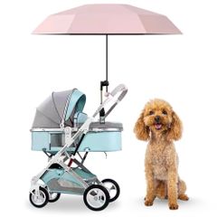 Item thumbnail for item 94b5a77e-3c7c-468c-9611-95e830f1c1f1