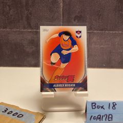 ブンデスリーガ Hertha BSCの応援旗 - メルカリ