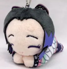 【中古】雑貨 胡蝶しのぶ(にっこりVer.) 「鬼滅の刃 はぐキャラコレクション5」 アニメイトBOX購入特典