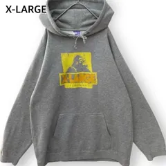 90s エクストララージ 希少カメラタグ スウェットフーディー グレー プルオーバー パーカー ストリート 綿メンズ ユニセックス