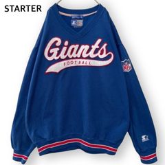 ポロラルフローレン カラフルポニー 刺繍 ハーフジップ スウェット