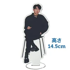チャンビン STRAYKIDS ストレイキッズ スキズ アクリルスタンド フィギュア 韓流 グッズ vk002-31