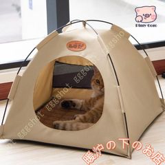 Item thumbnail for item c40b7674-8119-48e7-8199-3fc11cddc50d