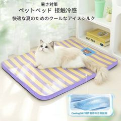 Item thumbnail for item 2713b833-9f08-43bf-9793-a8603f5b6f58