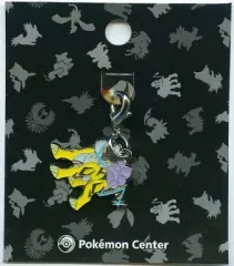 【中古】キーホルダー・マスコット(キャラクター) 243.ライコウ ジョウトずかんメタルチャーム 「ポケットモンスター」 ポケモンセンター限定