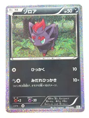 009/009 ゾロア