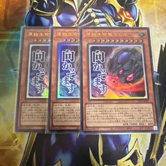 2026年最新】原始生命態ニビルの人気アイテム - メルカリ