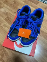 ナイキ ダンク ロー レトロ ハイパー コバルト