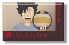 【中古】バッジ・ビンズ 黒尾鉄朗(D) 「あれこれぷちCANバッジ 劇場版 ハイキュー!! ゴミ捨て場の決戦 Vol.5 音駒高校BOX」