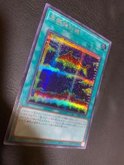 遊戯王カード 魚群探知機