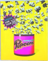 嵐 12-13年 Popcorn パンフレット