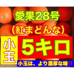 愛果28号　濃厚な小玉5キロ