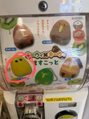 レア キーウィ 새 ガチャ