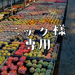 ☆ララたゃ☆様専用 - メルカリ