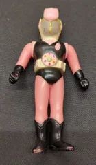 2025年最新】花忍キャプターの人気アイテム - メルカリ