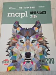 MAPLシナジー 幾何学 新品の本