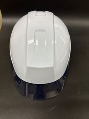 Item thumbnail for item d4c56320-0684-4957-8036-b66fb8f7e4ce