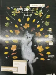 未使用) 2027 チョン·ヒョンテ ムーン ジップ