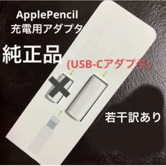【純正品、若干訳あり】 Apple USB-C Apple Pencilアダプタ　1個