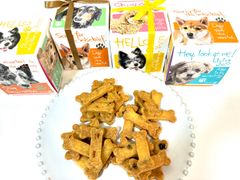 Item thumbnail for item 90a4b1ec-4d39-4816-87a8-6b44e1cb51d6