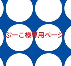 ぷーこ様専用ページです。