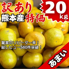 熊本県産 訳あり あまい みかん 約20kg S～Mサイズ サイズ キズあり 傷あり 甘酸っぱい 果物 お買得 フルーツ