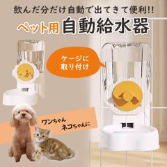 Item thumbnail for item 9e5fa3c6-bfe6-493b-aaee-0b4c87f1a5b9