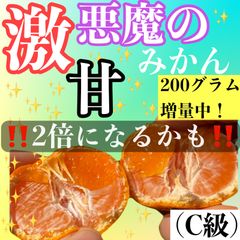 悪魔のみかん C級 3キロ