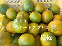 【値下げします¥4,000→¥3,800】＊ 訳あり家庭用＊ スイートスプリング サイズ混合 10kg