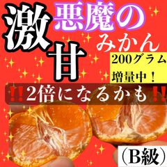 悪魔のみかん B級 4キロ