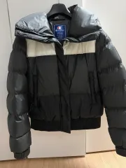 チャンピオン ダウン