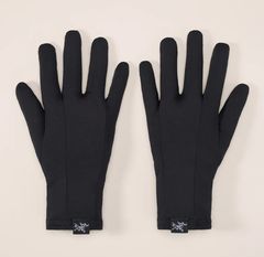 新品 タグ付き】アークテリクス フィション SV グローブ ゴアテックス