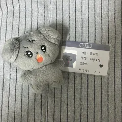 SEVENTEENミンギュ(MINGYU) ちょくみん ぬいぐるみ