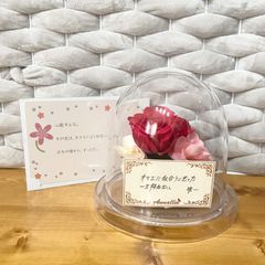 希少】ときめきメモリアル Girls Side 桜井琥一 バレンタイン