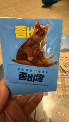 ゾンビ娘 スタンディ ポストカードセット ポスター