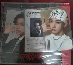 アンドチーム ジョー ゴインブラインド スタンダード セット