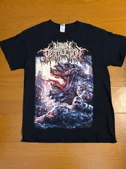 Within Destruction / Deathwish デスメタル　バンt  メタルバンド　ハードロック　メタリカ　KISS  オジーオズボーン　マリリンマンソン