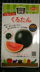 2026年最新】小玉スイカの人気アイテム - メルカリ