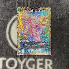 2025年最新】チアスカーレットアカネaの人気アイテム - メルカリ