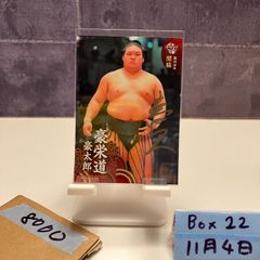 2014 BBM 豪栄道豪太郎 サイン 境川部屋 カード