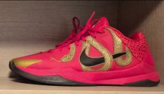 265 NIKE ナイキ コービー 5 プロトロ イヤー OF THE 맘바 ユニバーシティ レッド