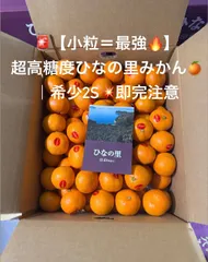 2025年最新】2超の人気アイテム - メルカリ